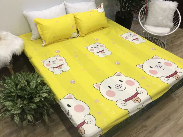 Set ga gối, gối ôm Poly Cotton (chat chọn mẫu)