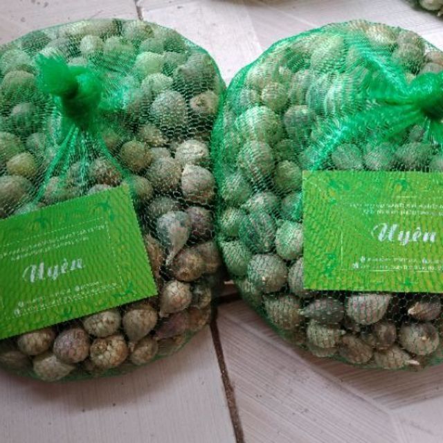 2kg tỏi cô đơn size số 1