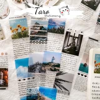 Sticker dây dài nhãn dán phong cảnh vintage Taro Stationery