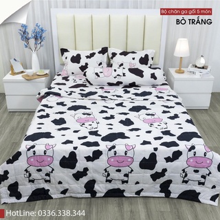 Chăn hè ga gối set 5 món Poly cotton (Được chọn mẫu)