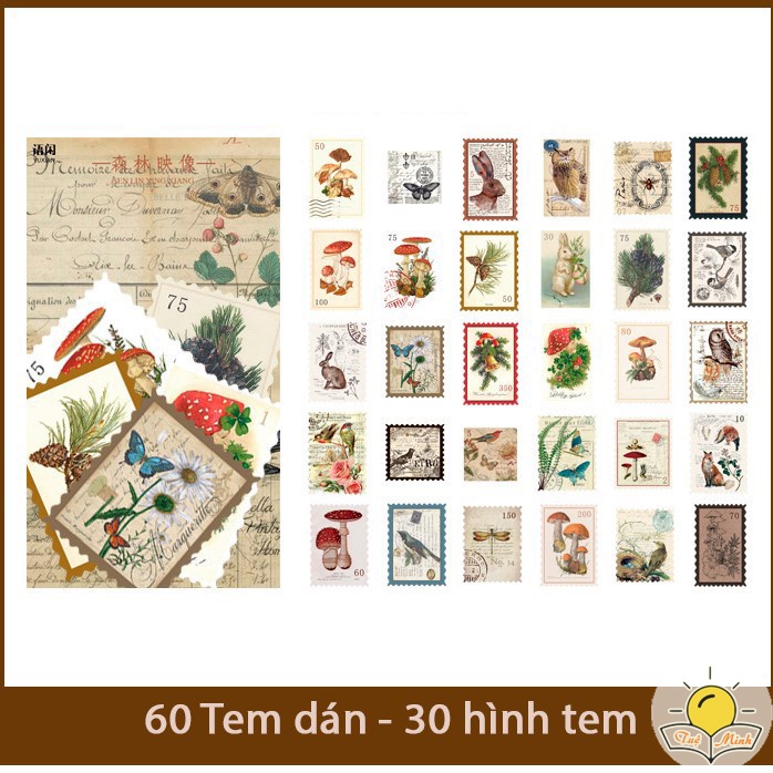 Bộ 60 tem dán Vintage hình thực vật, động vật - Sticker hình tem Tuệ Minh