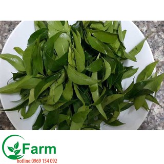 cây móc mật