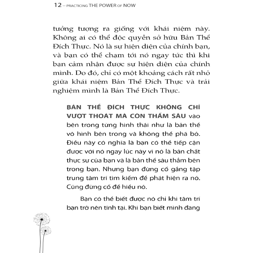 Sách - Trải Nghiệm Sức Mạnh Hiện Tại
