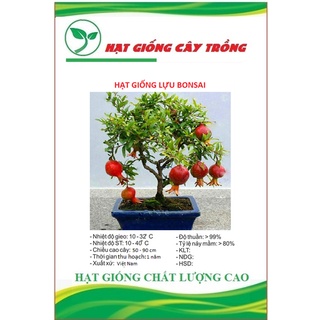 Hạt giống cây lựu bonsai ct379 - gói 5 hạt
