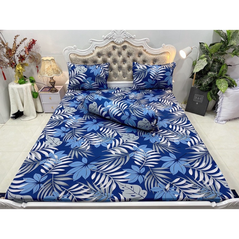 Bộ drap thun hàn quốc 4 món mẫu lá gồm 6 màu siêu đẹp