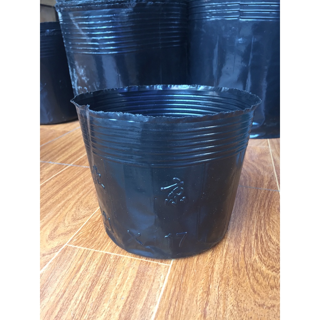 BẦU ƯƠM CÂY 21*17 ( DỊCH TRUYỀN CHO CÂY, KÍCH RỄ , MẦM CÂY XANH LÁ, LƯỚI CHE NẮNG...)