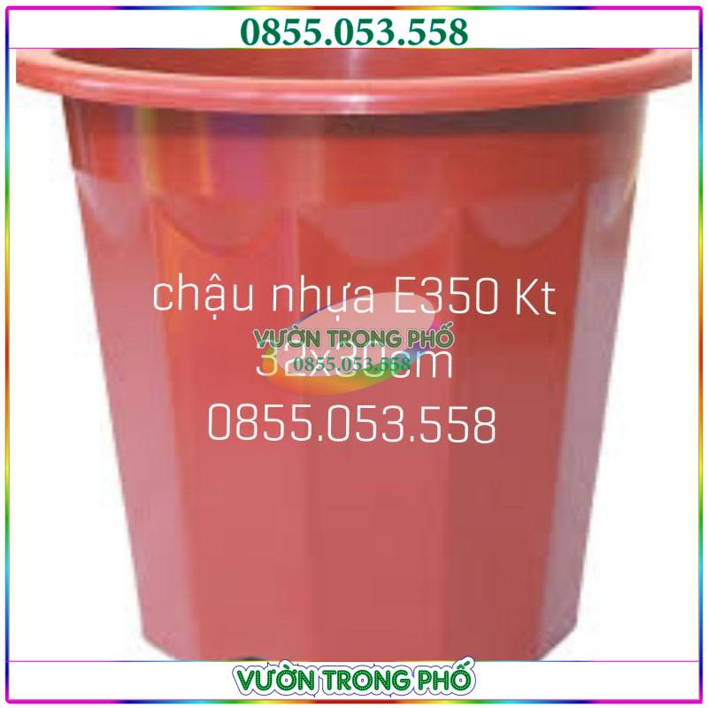 Chậu nhựa E350 loại 1 kt 32x30cm (to nhất trong dòng chậu E)