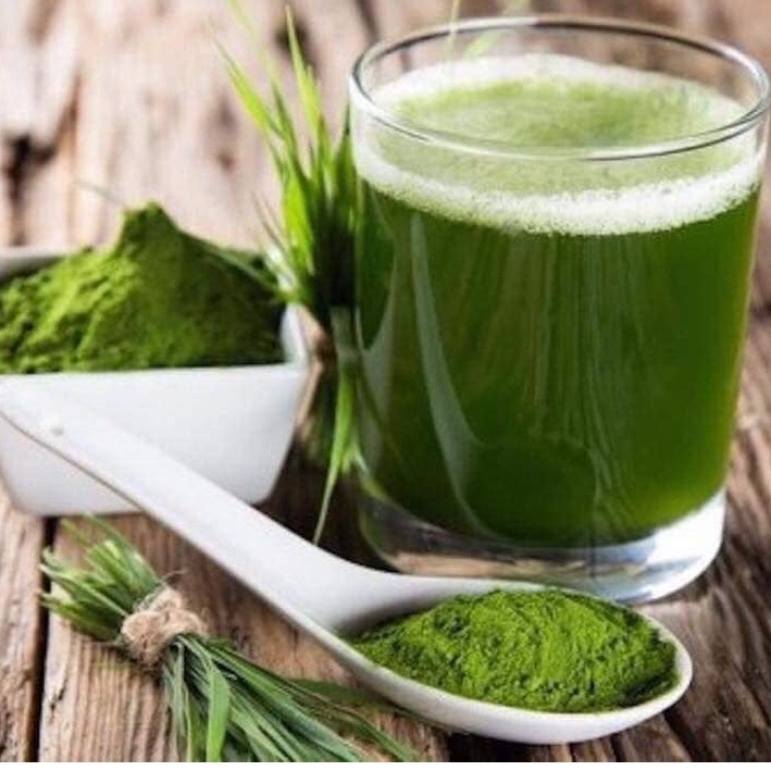 Bột lúa non Nhật Bản 44 gói, bột lúa mạch non Grass Barley  Nhật Bản, trà lúa non