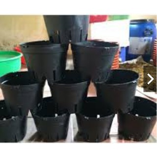 10 CHẬU NHỰA TRỒNG LAN F23