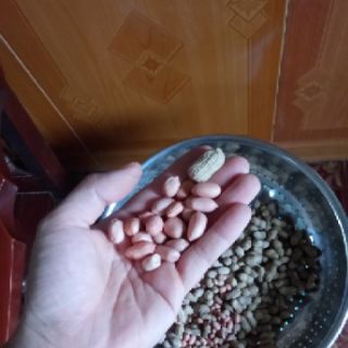 Dầu lạc nguyên chất nhà làm