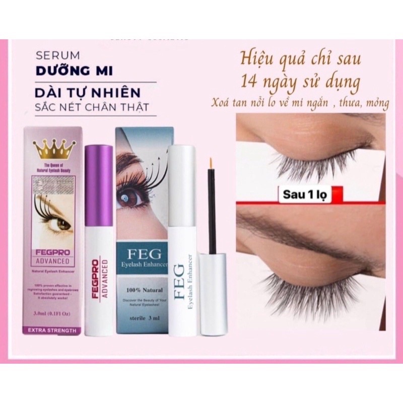 dưỡng mi-dài mi ép-e-g giá sỉ
