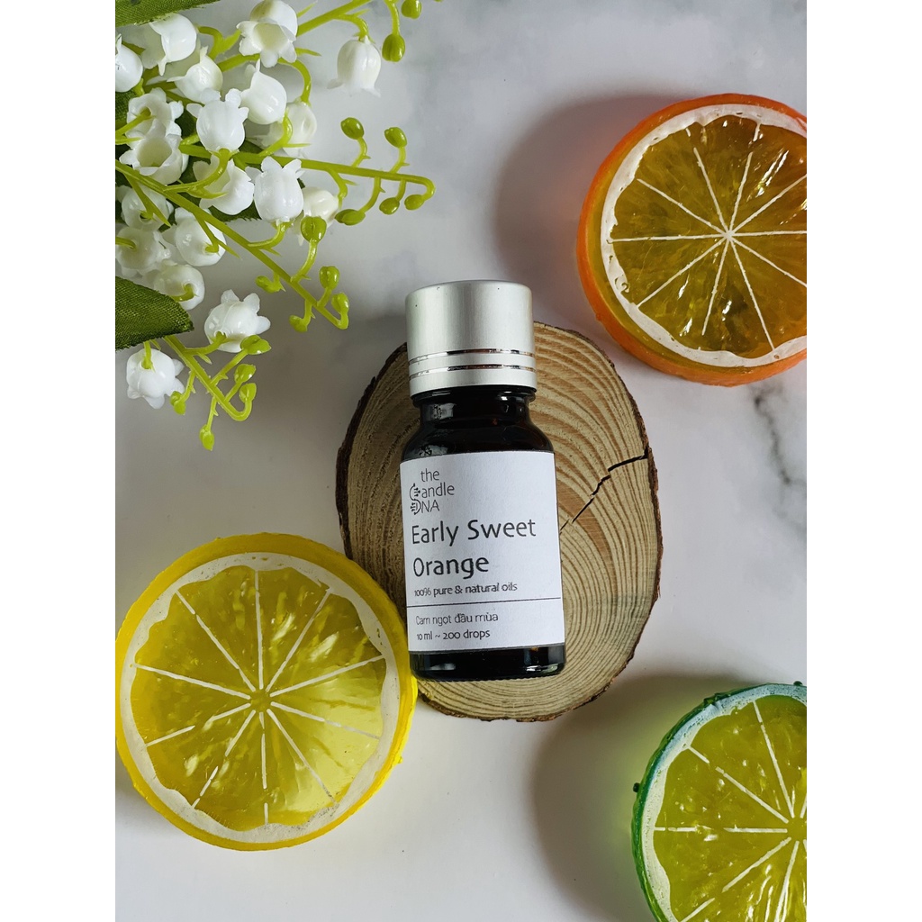 - Tinh dầu thiên nhiên họ TRÁI CÂY - 10ml nguyên chất - The Candle DNA
