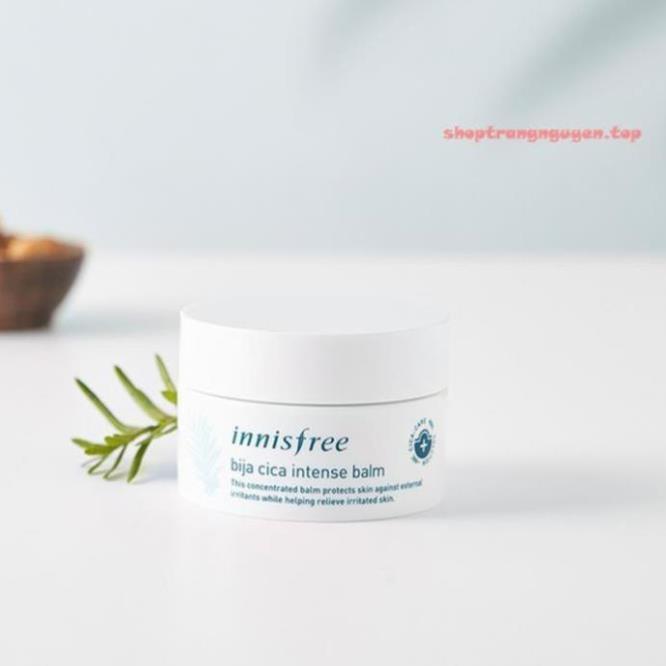 Sample Kem Dưỡng Dành Cho Da Mụn Innisfree Bija Cica Intense Balm (gói 1ml)