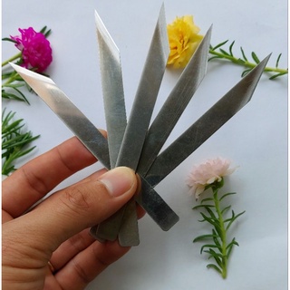 Dao xẽ tôm cở lớn, dao xẽ tôm