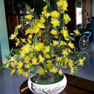 Combo vật liệu làm hoa voan