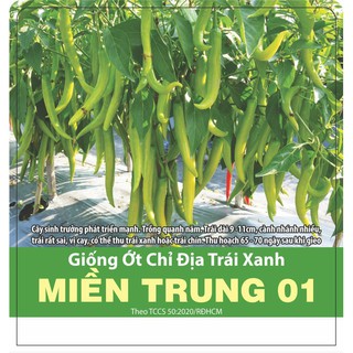 Hạt giống Ớt chỉ địa trái xanh 0.1gr ❤️FREESHIP EXTRA❤️