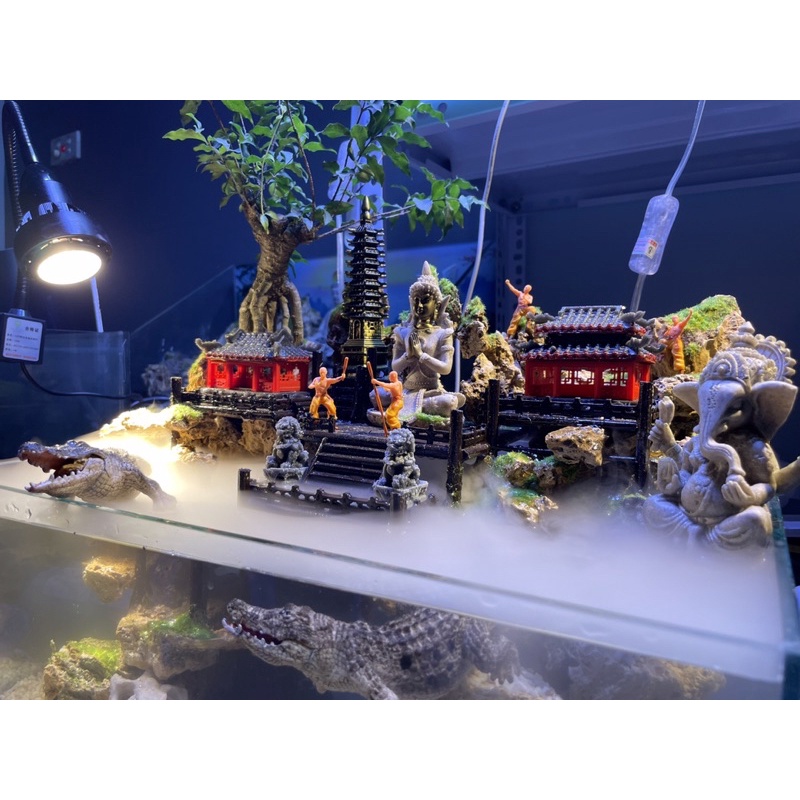 Hồ bán cạn tiểu cảnh mini 40cm phong cách Kelsey Mặt Trời Vàng