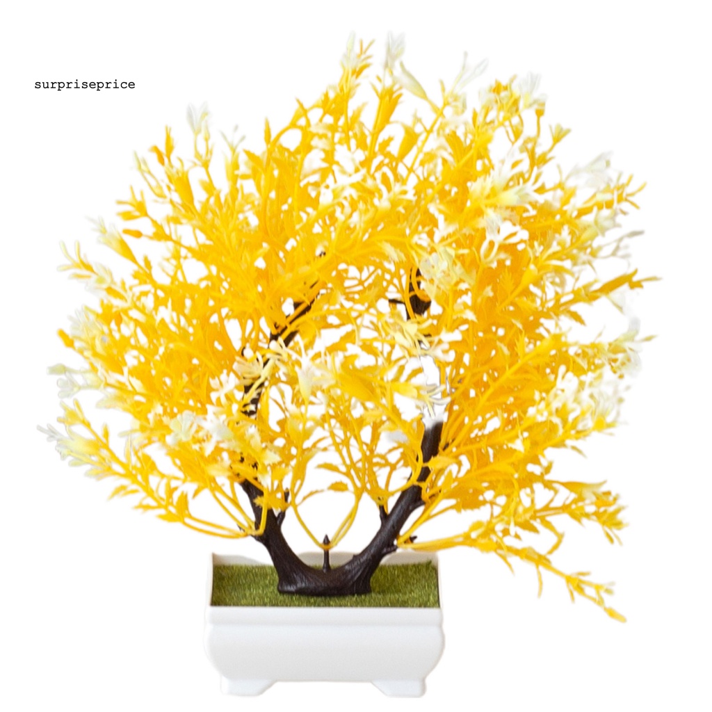 Chậu Cây Bonsai Giả Trang Trí