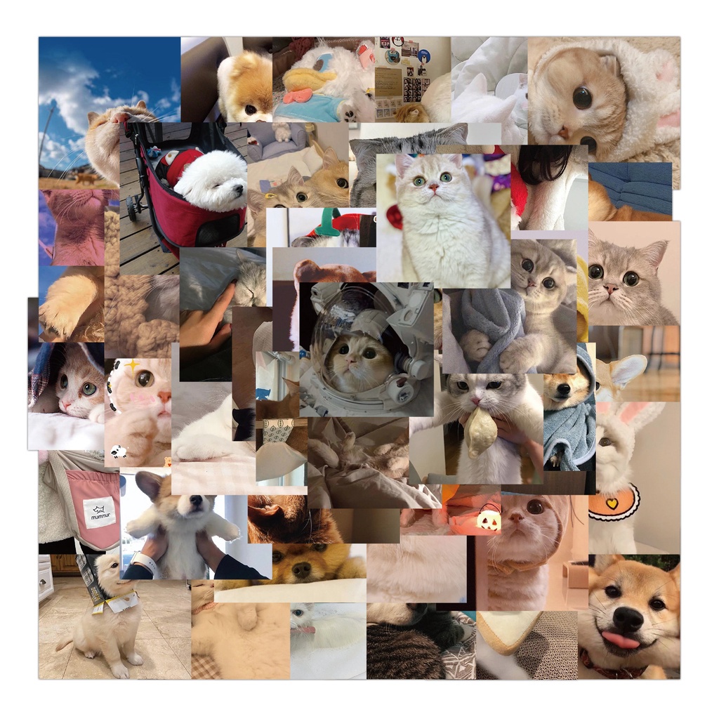 Set 48 miếng dán trang trí máy tính xách tay điện thoại thiết kế mèo cún cưng đáng yêu