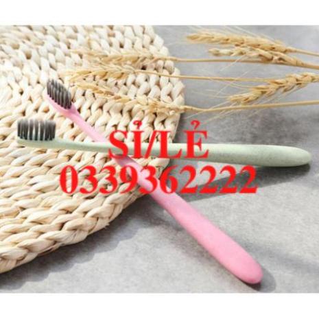 [ HAIANHSHOP ] Bàn chải đánh răng lúa mạch - Bàn Chải Người Lớn Sợi Nano Trắng Răng - giao màu ngẫu nhiên Duashop &gt;