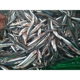 mắm cá cơm bình định