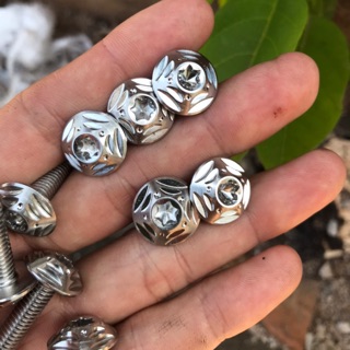 Ốc 6ly2 đầu dù inox salaya