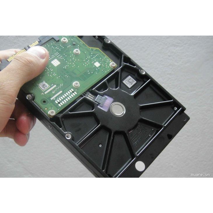 Ổ Cứng HDD Segate 500GB | BigBuy360 - bigbuy360.vn