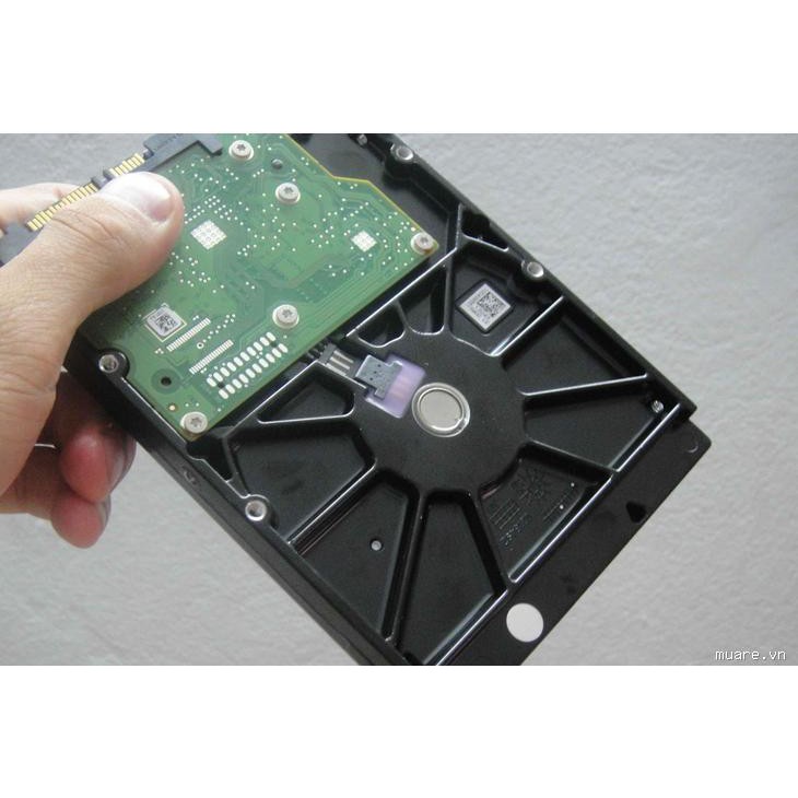 Ổ Cứng HDD Segate 500GB | WebRaoVat - webraovat.net.vn