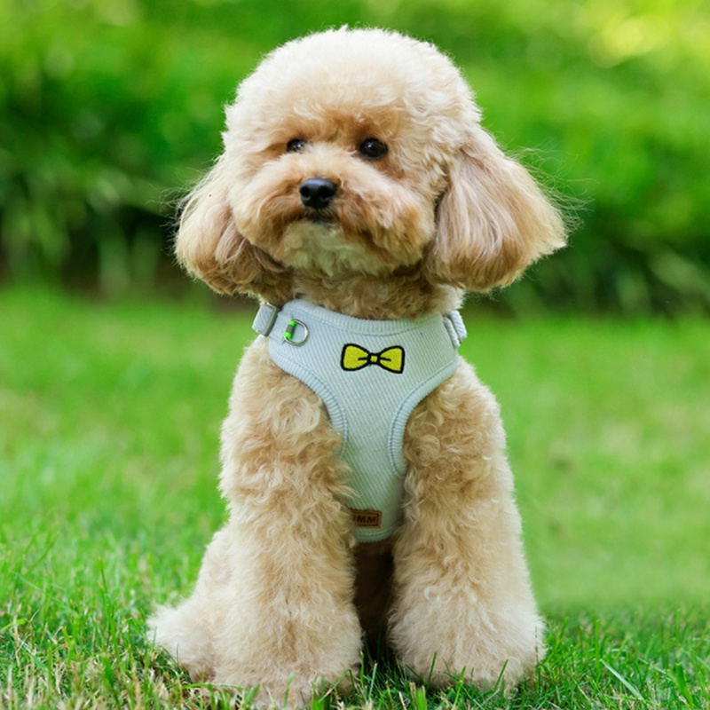 Dây Dắt Thú Cưng Đi Dạo Bằng Vải Nhung Thêu Hình Trái Tim Kích Thước Nhỏ Và Vừa