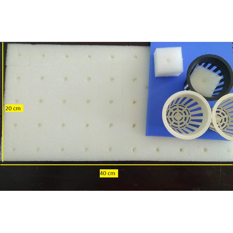 Đất ươm hạt trồng rau thủy canh bằng mút xốp khớp rọ~400 đv ươm