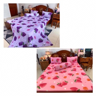 Bộ drap ga thun lạnh Hàn quốc [mẫu dâu tây] 4 món chất đẹp