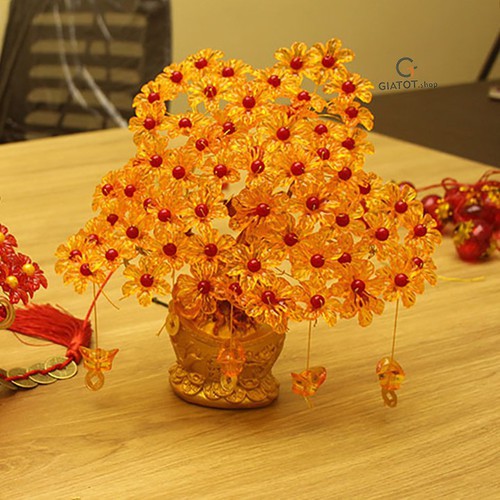 Cây Mai Trang Trí, Cây Kim Tiền Tài Lộc Để Bàn Trang Trí Cho Tết 2021, Mẫu Hót Cho Tết 2021