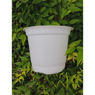 Chậu nhựa vành nâu - trắng size 180x146mm