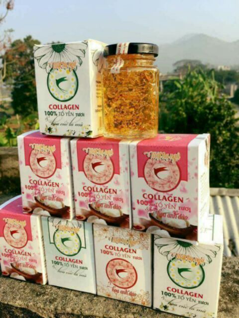 Mặt nạ colagen tổ yến tươi chính hãng CÓ QUÀ TẶNG KÈM