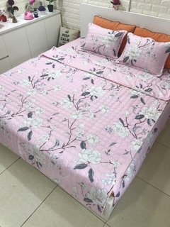 set ga phủ poly