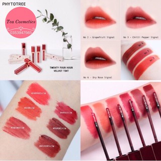Son Kem Phytotree Twenty Four Hour Velvet Tint