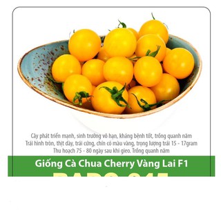Hạt giống cà chua cherry vàng f1 sai trái 0.1gr
