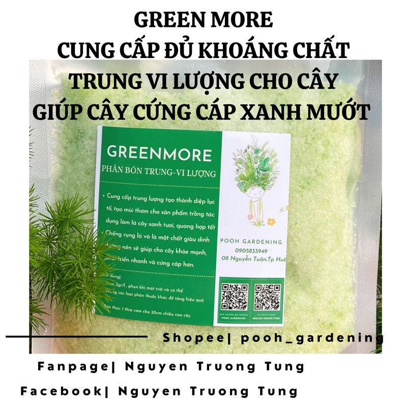 GREEN MORE CÂY XANH KHOẺ HƠN