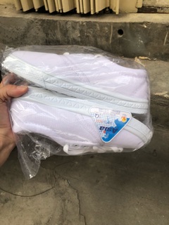 Giày bata cột dây asia