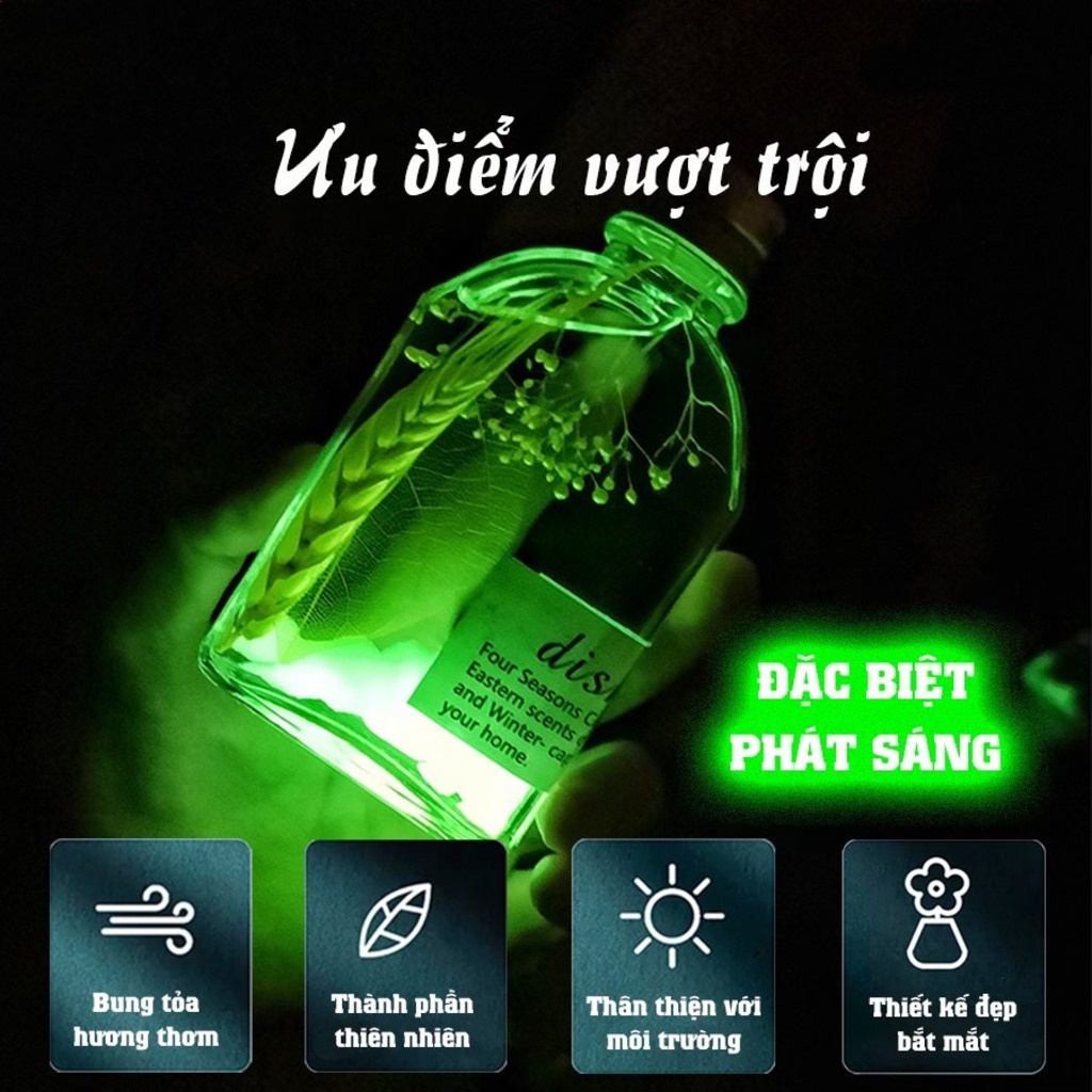 Tinh dầu thơm phòng WIACHNN 100ml decor phòng ngủ bàn làm việc phát sáng ban đêm CozyBin TDBD01