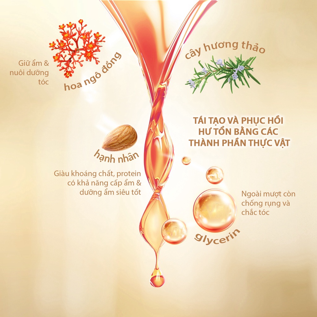 Dầu xả dưỡng tóc nước hoa muối biển Five Grains 500ml, VANCY