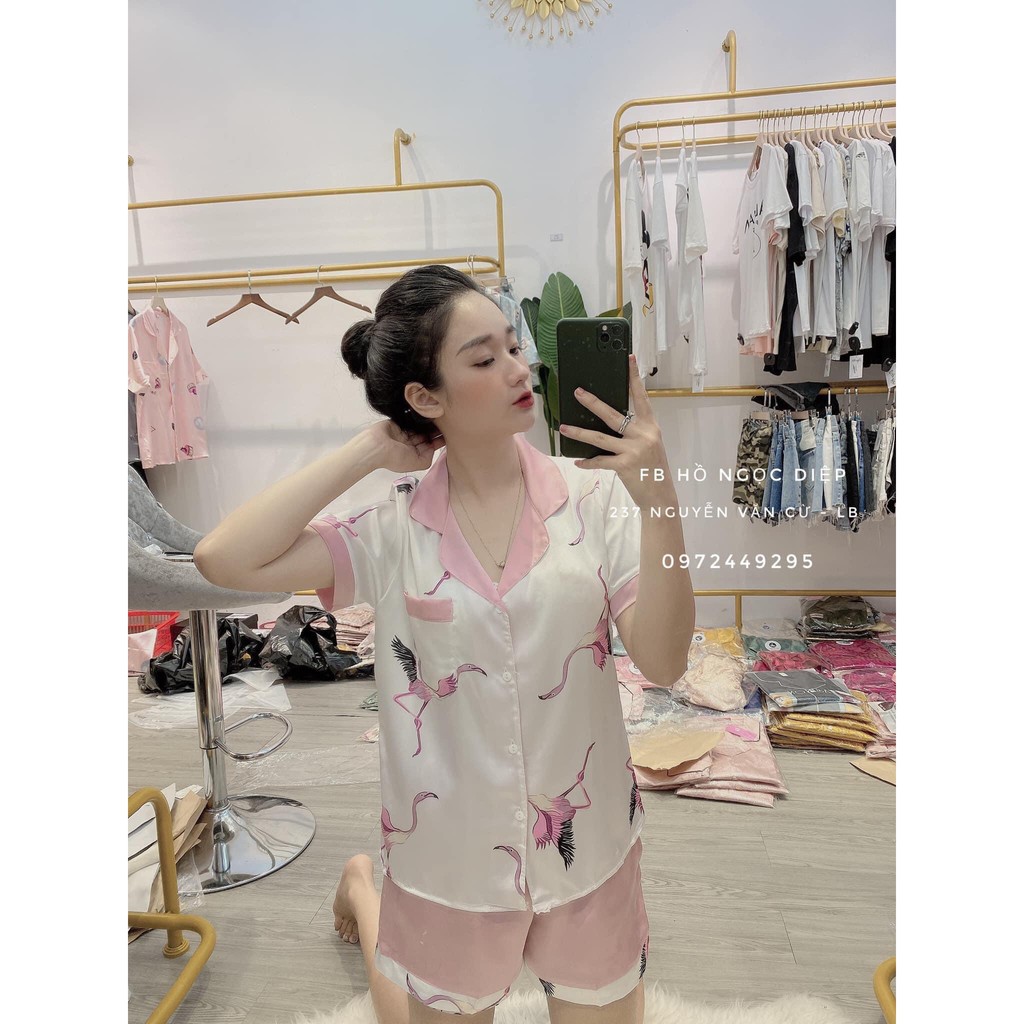 Đồ bộ mặc nhà 🍍FREE SHIP🍍 Giảm 10K khi nhập [DOBO10k] Bộ ngủ pijama hàng cao cấp giá rẻ | BigBuy360 - bigbuy360.vn