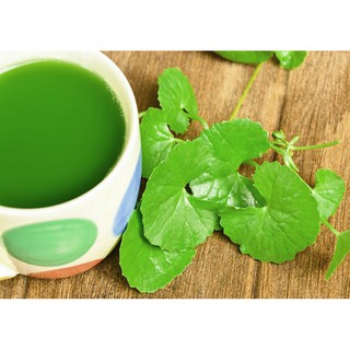 Bột rau má Quảng Thanh 100g, 100% nguyên chất
