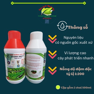 🍀 Cặp dung dịch dinh dưỡng thủy canh Hydroumat V dùng cho rau ăn lá Nhất Tín Huế 🍀