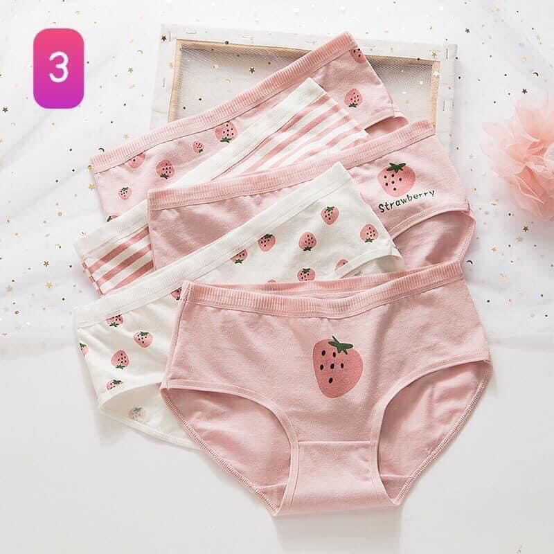 set quần chip cute | BigBuy360 - bigbuy360.vn