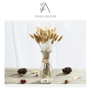  Lọ thủy tinh trang trí dây thừng🌸Bình thủy tinh cắm hoa, decor (M3)