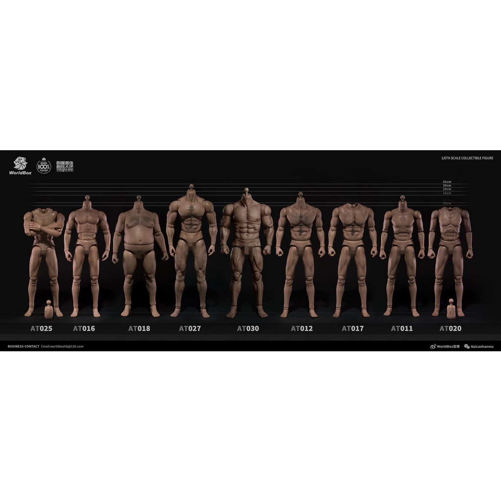 Mô hình Body Male AT020 tỉ lệ 1/6 - Hãng WorldBox