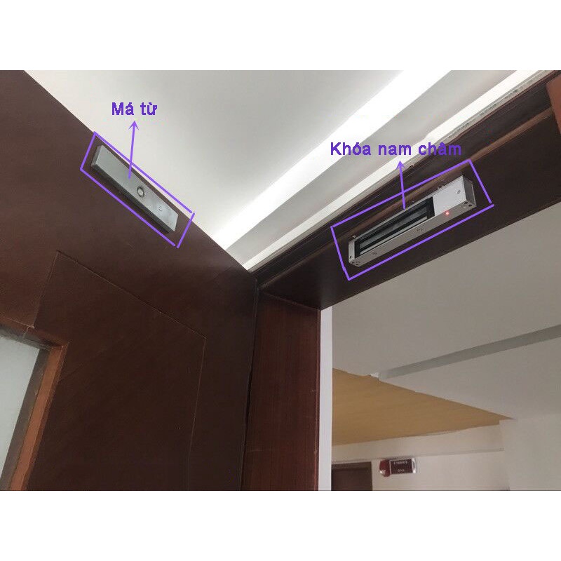 Khóa Điện Từ 5 dây có phản hồi trạng thái Không Thấm Nước Dc 12v 280 kg - BH 6 tháng