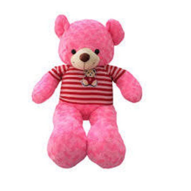 thú bông teddy 40cm