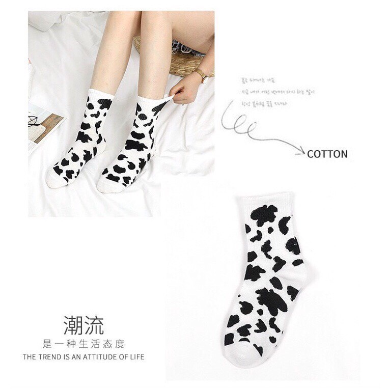 Tất Cổ Cao - Vớ Cổ Cao Nữ Họa Tiết Bò Sữa Dễ Thương Vải Cotton Thời Trang Hàn Quốc SENORITA